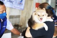 Warga berbahagia: anabul terlindungi, vaksinasi rabies gratis di HUT ke-33 Kota Tangerang l Dok. Istimewa